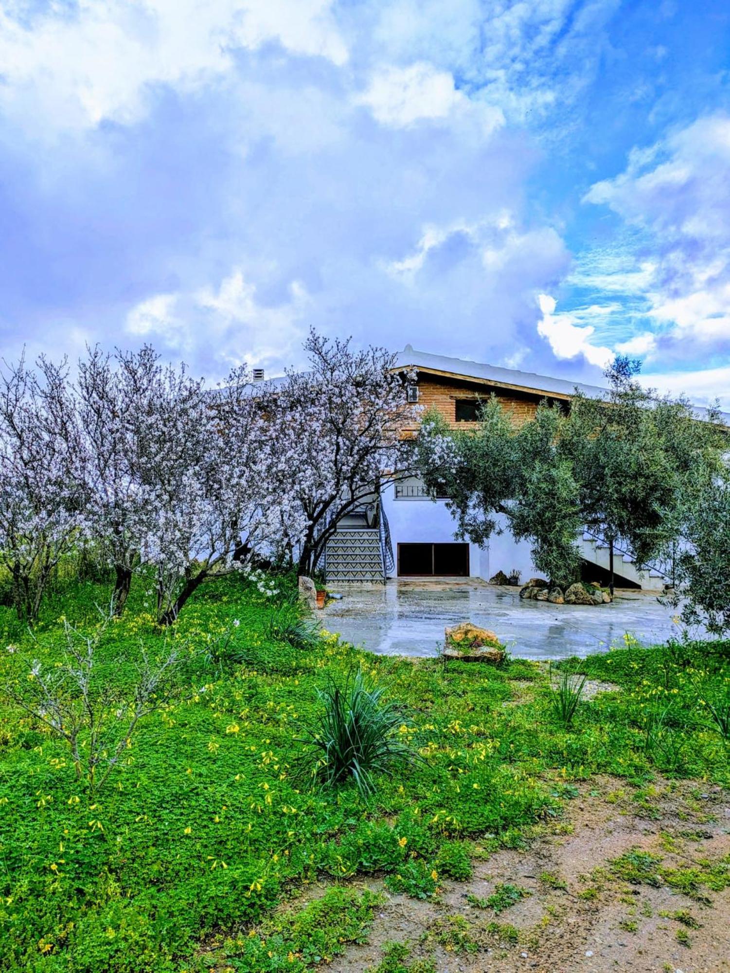 Agriturismo PIRASTRERI Siniscola Exterior foto