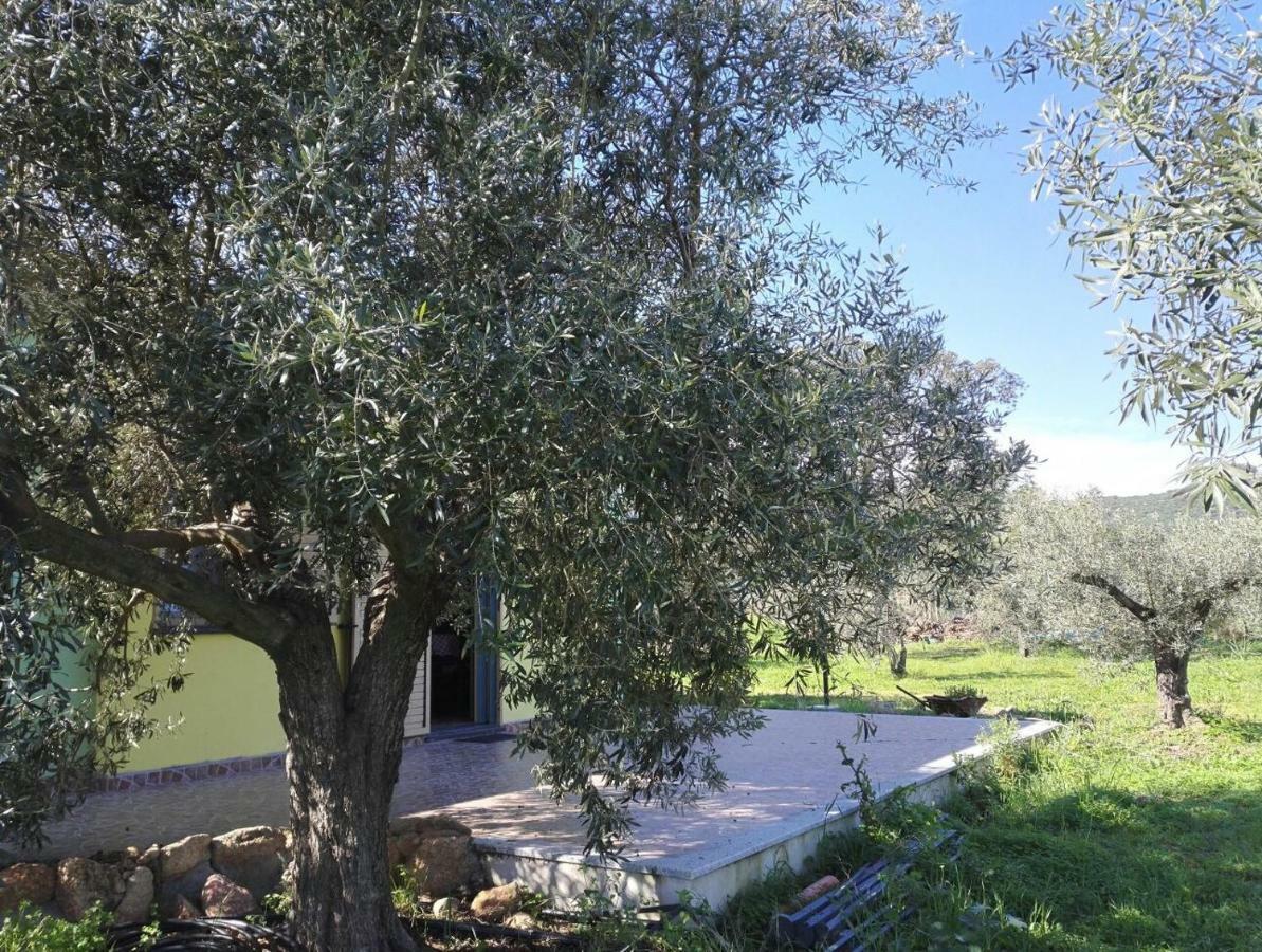 Agriturismo PIRASTRERI Siniscola Exterior foto